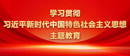 两个女的在一起搞基视频国产学习贯彻习近平新时代中国特色社会主义思想主题教育_fororder_ad-371X160(2)